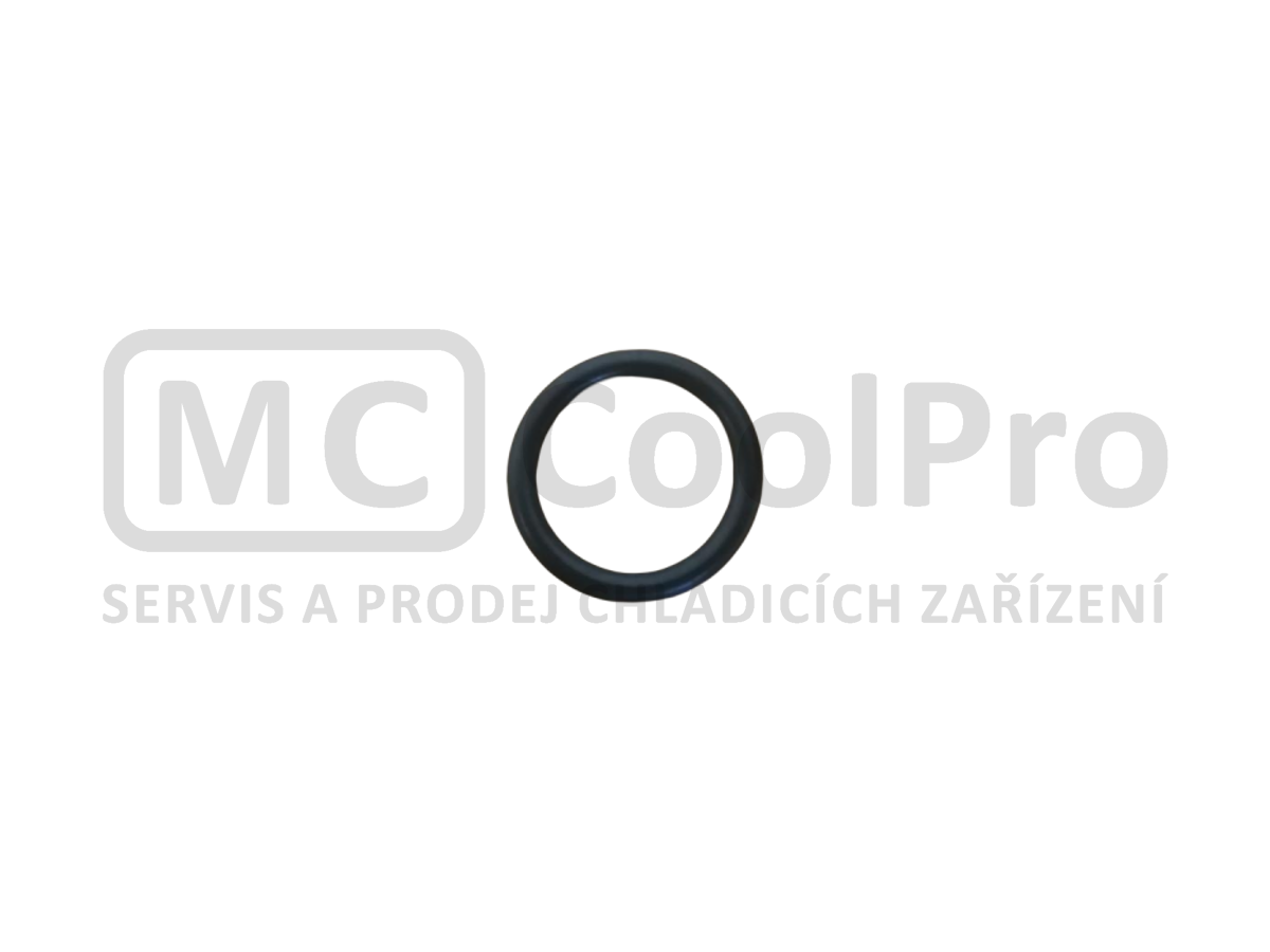 Těsnění spojovací Carpigiani